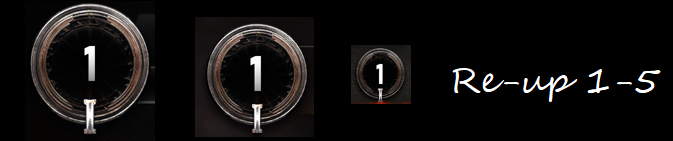 reup%201-5